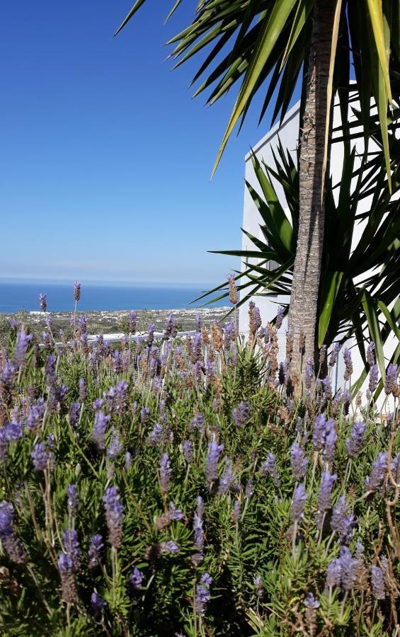 Alkyoni - Stavi'S Guesthouse Míloi Εξωτερικό φωτογραφία